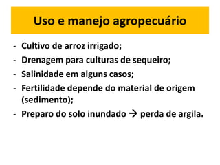 Uso e manejo agropecuário
- Cultivo de arroz irrigado;
- Drenagem para culturas de sequeiro;
- Salinidade em alguns casos;
- Fertilidade depende do material de origem
  (sedimento);
- Preparo do solo inundado  perda de argila.
 