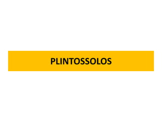 PLINTOSSOLOS
 