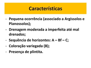 Características
- Pequena ocorrência (associado a Argissolos e
  Planossolos);
- Drenagem moderada a imperfeita até mal
  drenados;
- Sequência de horizontes: A – Bf – C;
- Coloração variegada (B);
- Presença de plintita.
 