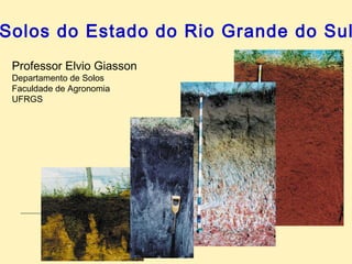 BwBw
Bt1Bt1
Solos do Estado do Rio Grande do Sul
Professor Elvio Giasson
Departamento de Solos
Faculdade de Agronomia
UFRGS
 