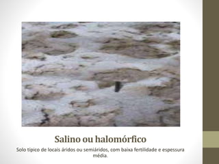 Halomorphic Solos e Recursos Minerais do Brasil e do Mundo | PPTX