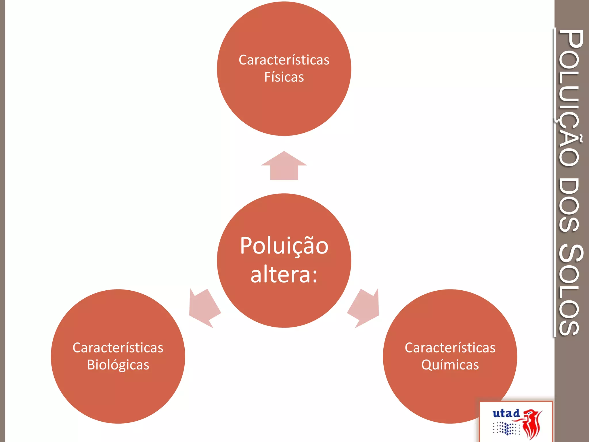 POLUIÇÃODOSSOLOS
Poluição
altera:
Características
Físicas
Características
Químicas
Características
Biológicas
 