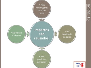 IMPACTES
Impactos
são
causados:
 Nos
microrganis
mos do
solo
 Na
qualidade
da água
 Nos
produtos
agrícolas
 Na flora e
na fauna
 