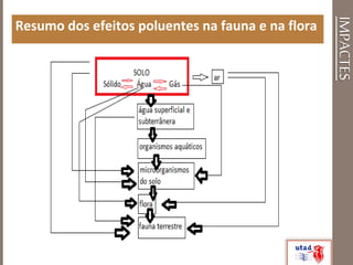 IMPACTES
Resumo dos efeitos poluentes na fauna e na flora
 