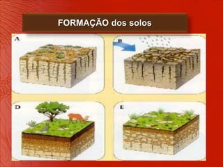 FORMAÇÃO dos solos
 