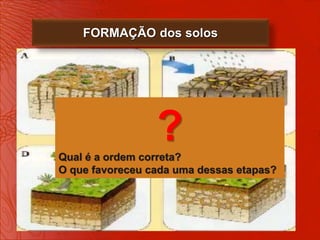 FORMAÇÃO dos solos




                 ?
Qual é a ordem correta?
O que favoreceu cada uma dessas etapas?
 