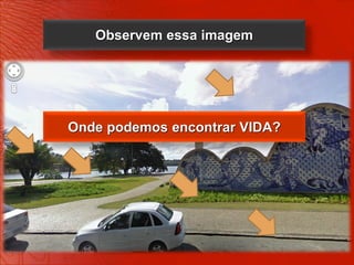 Observem essa imagem




Onde podemos encontrar VIDA?
 