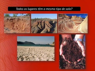 Todos os lugares têm o mesmo tipo de solo?
 