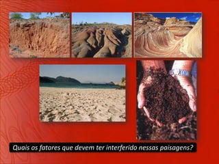 Quais os fatores que devem ter interferido nessas paisagens?
 