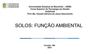 Universidade Estadual do Maranhão – UEMA
Curso Superior de Tecnologia em Gestão
Ambiental
Prof. Me. Claudio Adriano de Jesus Nascimento
Coroatá - MA
2024
SOLOS: FUNÇÃO AMBIENTAL
 
