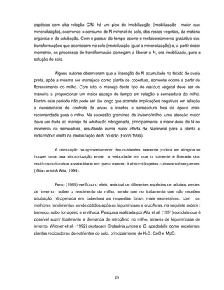29
espécies com alta relação C/N, há um pico de imobilização (imobilização maior que
mineralização), ocorrendo o consumo de N mineral do solo, dos restos vegetais, da matéria
orgânica e da adubação. Com o passar do tempo ocorre o restabelecimento gradativo das
transformações que acontecem no solo (imobilização igual a mineralização) e, a partir deste
momento, os processos de transformação começam a liberar o N, ora imobilizado, para a
solução do solo.
Alguns autores observaram que a liberação do N acumulado no tecido de aveia
preta, após a mesma ser manejada como planta de cobertura, somente ocorre a partir do
florescimento do milho. Com isto, o manejo deste tipo de resíduo vegetal deve ser de
maneira a proporcionar um maior espaço de tempo em relação a semeadura do milho.
Porém este período não pode ser tão longo que acarrete implicações negativas em relação
a necessidade de controle de ervas e insetos e semeadura fora da época mais
recomendada para o milho. Na sucessão gramínea de inverno/milho, uma atenção maior
deve ser dada ao manejo da adubação nitrogenada, principalmente a maior dose de N no
momento da semeadura, resultando numa maior oferta de N-mineral para a planta e
reduzindo o efeito na imobilização de N no solo (Fiorin,1999).
A otimização no aproveitamento dos nutrientes, somente poderá ser atingida se
houver uma boa sincronização entre a velocidade em que o nutriente é liberado dos
resíduos culturais e a velocidade em que o mesmo é absorvido pelas culturas subsequentes
( Giacomini & Aita, 1999).
Ferro (1989) verificou o efeito residual de diferentes espécies de adubos verdes
de inverno sobre o rendimento do milho, sendo que no tratamento que não recebeu
adubação nitrogenada em cobertura as respostas foram mais expressivas, com os
melhores rendimentos sendo obtidos após as leguminosas e crucíferas, na seguinte ordem :
tremoço, nabo forrageiro e ervilhaca. Pesquisa realizada por Aita et al. (1991) concluiu que é
possível suprir totalmente a demanda de nitrogênio no milho, através de leguminosas de
inverno. Wildner et al. (1992) destacam Crotalária juncea e C. spectabilis como excelentes
plantas recicladoras de nutrientes do solo, principalmente de K2O, CaO e MgO.
 