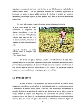 67
vegetação remanescente se torne muito lenhosa e crie dificuldades na implantação do
sistema plantio direto. Com as queimadas perde-se um incremento significativo de
biomassa nos solos de baixa aptidão agrícola. O rolo-faca é também um excelente
implemento para manejar vegetais de porte médio a alto e resíduos da cultura do milho em
pós-colheita.
Por outro lado, quando o espaço de tempo entre a colheita e a introdução
Em áreas com pouca biomassa vegetal e elevada umidade do solo, não é
recomendável o uso do rolo-faca, pois este poderá golpear diretamente a superfície do solo,
promovendo sua compactação. O acamamento das espécies protetoras e melhoradas do
solo também pode ser feito com grade de discos (não travada), ou outros dispositivos de
arraste, como pneus deitados ou simples palanques de madeiras.
8.2 GRADE DE DISCOS
A grade de discos é um implemento que realiza um trabalho de controle relativo
das plantas espontâneas durante a fase de sistematização da área, requisito que antecede
a implantação do sistema plantio direto. Outro uso é na incorporação de sementes de
espécies de inverno, proporcionando maior contato da semente com o solo. A grade de
discos também é utilizada com freqüência no acamamento de plantas protetoras e
recuperadoras do solo (Figura 5), que apresentam diferentes hábitos de crescimento. Neste
caso ela deve ser usada com pouco travamento ou totalmente destravada. Opera em
de uma nova cultura for longo,
provocando o surgimento de
plantas espontâneas, o uso de
rolo-faca antes da frutificação das
mesmas pode quebrar o seu ciclo
de desenvolvimento, impedindo o
aumento do banco de sementes no
solo.
Figura 4 : Resteva de milho
bastante densa e manejada com
rolo-faca.
Foto : Moacir Darolt
 