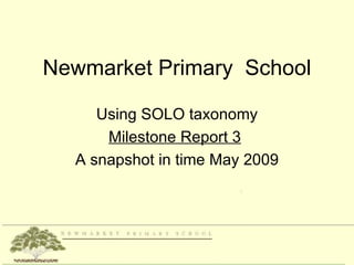 Newmarket Primary School

     Using SOLO taxonomy
      Milestone Report 3
  A snapshot in time May 2009
 