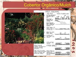 Cobertor Orgânico/Mulch