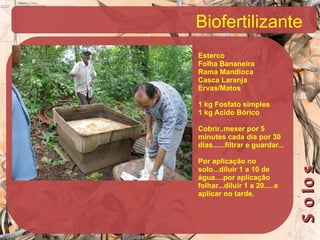 Biofertilizante Esterco Folha Bananeira Rama Mandioca Casca Laranja Ervas/Matos 1 kg Fosfato simples 1 kg Acido Bórico Cobrir..mexer por 5 minutes cada dia por 30 dias......filtrar e guardar... Por aplicação no solo...diluir 1 a 10 de água....por aplicação folhar...diluir 1 a 20.....e aplicar no tarde.