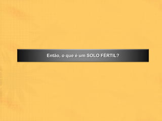 Então, o que é um SOLO FÉRTIL?
 