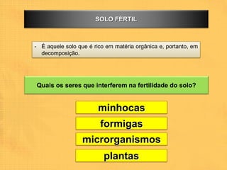 SOLO FÉRTIL



- É aquele solo que é rico em matéria orgânica e, portanto, em
  decomposição.




Quais os seres que interferem na fertilidade do solo?


                        minhocas
                        formigas
                  microrganismos
                          plantas
 