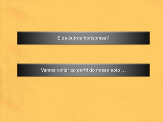 E os outros horizontes?




Vamos voltar ao perfil do nosso solo …
 