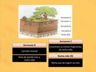 Horizonte C
    Horizonte B
                        Encontram-se muitos fragmentos
                                 da rocha-mãe
   Camada mineral

Varia de acordo com a          Rocha-mãe (R)
      rocha-mãe
                         Rocha que dá origem ao solo
 