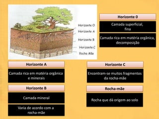 Horizonte 0
                                               Camada superficial,
                                                     fina

                                        Camada rica em matéria orgânica,
                                                 decomposição




         Horizonte A                       Horizonte C

Camada rica em matéria orgânica   Encontram-se muitos fragmentos
           e minerais                      da rocha-mãe

         Horizonte B                       Rocha-mãe

        Camada mineral
                                   Rocha que dá origem ao solo

     Varia de acordo com a
           rocha-mãe
 
