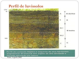 Perfil de luvissolos
Fonte. Lepsch (2002
 