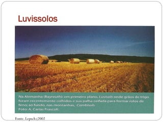 Luvissolos
Fonte. Lepsch (2002
 