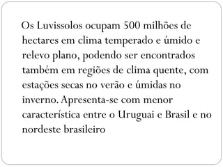 Os Luvissolos ocupam 500 milhões de
hectares em clima temperado e úmido e
relevo plano, podendo ser encontrados
também em regiões de clima quente, com
estações secas no verão e úmidas no
inverno.Apresenta-se com menor
característica entre o Uruguai e Brasil e no
nordeste brasileiro
 