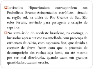Luvissolos Hipocrômicos correspondem aos
Podzólicos Brumo-Acinzentados estróficos, situado
na região sul, na divisa do Rio Grande do Sul. São
solos férteis, servindo para pastagens e criação de
caprinos.
No semi-árido do nordeste brasileiro, na caatinga, o
luvissolos apresenta cor avermelhada com presença de
carbonato de cálcio, com espessura fina, que devido a
escassez de chuva fazem com que o processo de
decomposição das rochas seja lento, ou até mesmo
por ser mal distribuída, quando caem em grandes
quantidades, causam erosão.
 