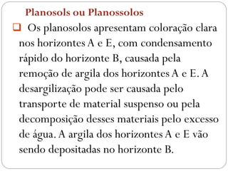 Planosols ou Planossolos
 Os planosolos apresentam coloração clara
nos horizontesA e E, com condensamento
rápido do horizonte B, causada pela
remoção de argila dos horizontesA e E.A
desargilização pode ser causada pelo
transporte de material suspenso ou pela
decomposição desses materiais pelo excesso
de água.A argila dos horizontesA e E vão
sendo depositadas no horizonte B.
 