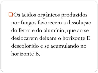 Os ácidos orgânicos produzidos
por fungos favorecem a dissolução
do ferro e do alumínio, que ao se
deslocarem deixam o horizonte E
descolorido e se acumulando no
horizonte B.
 