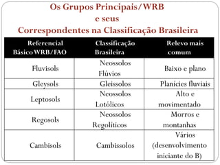 Os Grupos Principais/WRB
e seus
Correspondentes na Classificação Brasileira
Referencial
BásicoWRB/FAO
Classificação
Brasileira
Relevo mais
comum
Fluvisols
Neossolos
Flúvios
Baixo e plano
Gleysols Gleissolos Planícies fluviais
Leptosols
Neossolos
Lotólicos
Alto e
movimentado
Regosols
Neossolos
Regolíticos
Morros e
montanhas
Cambisols Cambissolos
Vários
(desenvolvimento
iniciante do B)
 