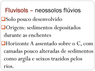 Fluvisols – neossolos flúvios
Solo pouco desenvolvido
Origem: sedimentos depositados
durante as enchentes
HorizonteA assentado sobre o C, com
camadas pouco alteradas de sedimentos
como argila e seixos trazidos pelos
rios.
 