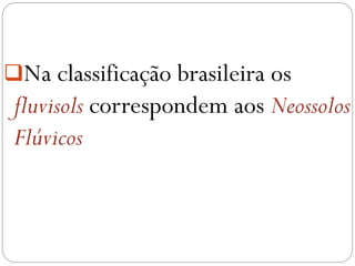 Na classificação brasileira os
fluvisols correspondem aos Neossolos
Flúvicos
 