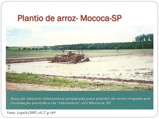 Plantio de arroz- Mococa-SP
Fonte. Lepsch (2007, ed.2º,p.169
 