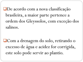 De acordo com a nova classificação
brasileira, a maior parte pertence a
ordem dos Gleyssolos, com exceção dos
salinos.
Com a drenagem do solo, retirando o
excesso de água e acidez for corrigida,
este solo pode servir ao plantio.
 