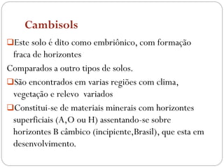 Cambisols
Este solo é dito como embriônico, com formação
fraca de horizontes
Comparados a outro tipos de solos.
São encontrados em varias regiões com clima,
vegetação e relevo variados
Constitui-se de materiais minerais com horizontes
superficiais (A,O ou H) assentando-se sobre
horizontes B câmbico (incipiente,Brasil), que esta em
desenvolvimento.
 