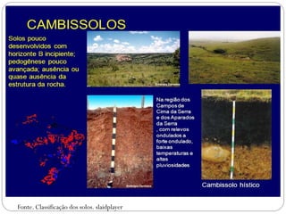 Fonte. Classificação dos solos. slaidplayer
 