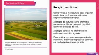 2025_EM_V1
Como vimos, a monocultura pode impactar
o solo, levando à sua exaustão e ao
empobrecimento nutricional.
Rotação de culturas
Imagem – A rotação de culturas envolve a plantação de diferentes
espécies em uma mesma área. Dessa forma, reduz-se o impacto
ambiental.
© Getty Images
Foco no conteúdo
A rotação de culturas é uma alternativa
para esse problema, mantendo equilíbrio
químico e biológico do solo.
A rotação consiste na alternância de
culturas a cada ciclo agrícola.
Essa prática, promove a recuperação de
nutrientes, a redução de pragas e doenças,
e a melhoria da estrutura do solo.
 