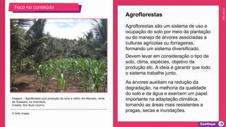 2025_EM_V1
Agroflorestas são um sistema de uso e
ocupação do solo por meio da plantação
ou do manejo de árvores associadas a
culturas agrícolas ou forrageiras,
formando um sistema diversificado.
Agroflorestas
Imagem – Agrofloresta com produção de coco e milho, em Manado, norte
de Sulawesi, na Indonésia.
Crédito: Eko Budi Utomo
© Getty Images
Foco no conteúdo
Devem levar em consideração o tipo de
solo, clima, espécies, objetivo da
produção etc. A ideia é garantir que todo
o sistema trabalhe junto.
As árvores auxiliam na redução da
degradação, na melhoria da qualidade
do solo e da água e exercem um papel
importante na adaptação climática,
tornando as áreas mais resistentes a
pragas, secas e inundações.
 