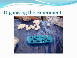 Organising the experiment