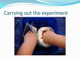 Carrying out the experiment