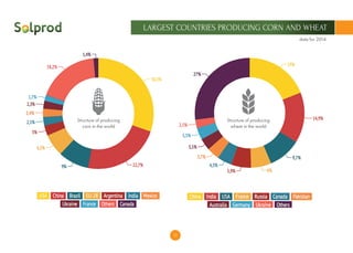 23
LARGEST COUNTRIES PRODUCING CORN AND WHEAT
data for 2014
Structure of producing
corn in the world
Structure of producing
wheat in the world
 