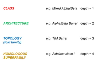 CLASS           e.g. Mixed Alpha/Beta    depth = 1



ARCHITECTURE    e.g. Alpha/Beta Barrel   depth = 2



TOPOLOGY        e.g. TIM Barrel          depth = 3
(fold family)


HOMOLOGOUS      e.g. Aldolase class I    depth = 4
SUPERFAMILY
 