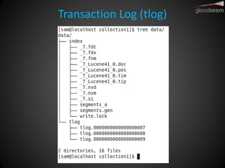 Transaction Log (tlog)  