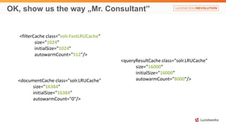 OK, show us the way „Mr. Consultant”
<filterCache class="solr.FastLRUCache"
size="1024"
initialSize="1024"
autowarmCount="512"/>
<queryResultCache class="solr.LRUCache"
size="16000"
initialSize="16000"
autowarmCount="8000"/><documentCache class="solr.LRUCache"
size="16384"
initialSize="16384"
autowarmCount="0"/>
 