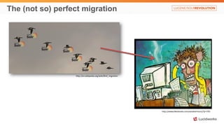 The (not so) perfect migration
http://en.wikipedia.org/wiki/Bird_migration
http://www.likesbooks.com/aarafterhours/?p=750
 