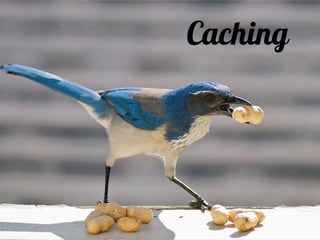 Caching
 