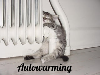 Autowarming
 