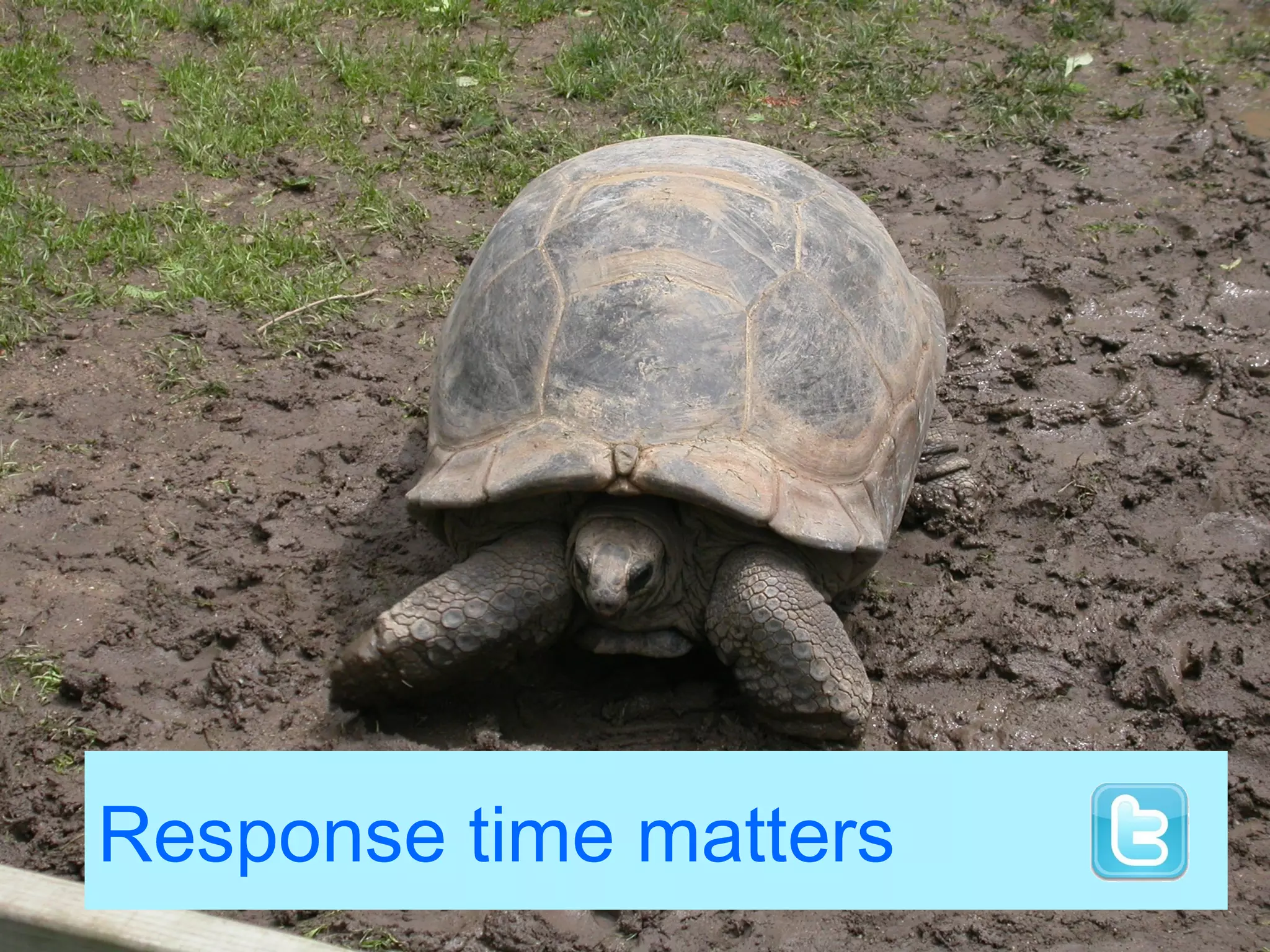 Response time matters
 