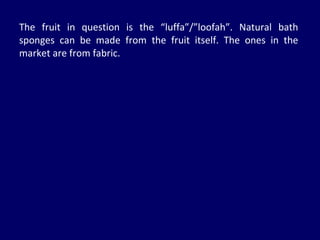 The fruit in question is the “luffa”/”loofah”. Natural bath sponges can be made from the fruit itself. The ones in the market are from fabric.  